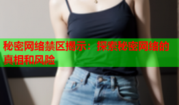 秘密网络禁区揭示：探索秘密网络的真相和风险