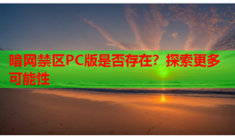 暗网禁区PC版是否存在？探索更多可能性