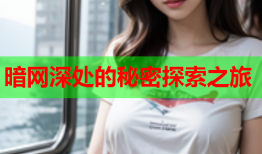 暗网深处的秘密探索之旅