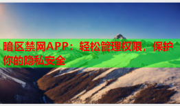 暗区禁网APP：轻松管理权限，保护你的隐私安全