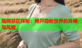 暗网禁区探秘：揭开隐秘世界的真相与风险