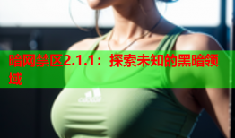 暗网禁区2.1.1：探索未知的黑暗领域