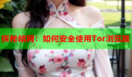 探秘暗网：如何安全使用Tor浏览器