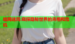 暗网迷局:窥探隐秘世界的真相和危机