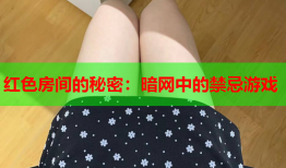 红色房间的秘密：暗网中的禁忌游戏