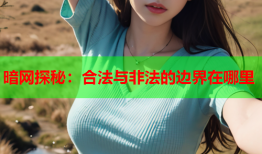 暗网探秘：合法与非法的边界在哪里