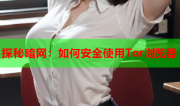 探秘暗网：如何安全使用Tor浏览器