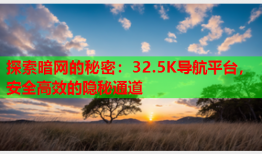 探索暗网的秘密：32.5K导航平台，安全高效的隐秘通道