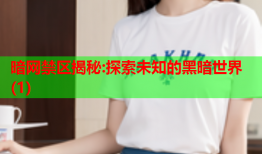 暗网禁区揭秘:探索未知的黑暗世界(1)