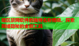 暗区禁网软件的独特名称揭晓，探索网络隐秘的全新工具