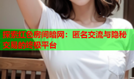 探索红色房间暗网：匿名交流与隐秘交易的终极平台