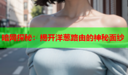 暗网探秘：揭开洋葱路由的神秘面纱