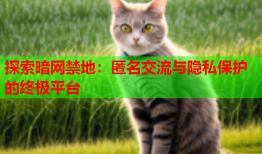 探索暗网禁地：匿名交流与隐私保护的终极平台