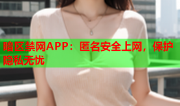 暗区禁网APP：匿名安全上网，保护隐私无忧