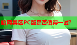 暗网禁区PC版是否值得一试？