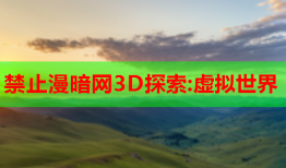 禁止漫暗网3D探索:虚拟世界