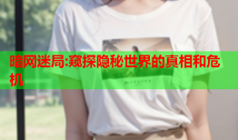 暗网迷局:窥探隐秘世界的真相和危机