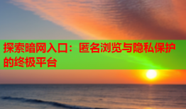 探索暗网入口：匿名浏览与隐私保护的终极平台