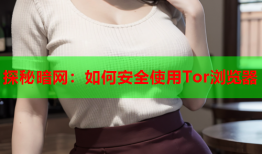 探秘暗网：如何安全使用Tor浏览器