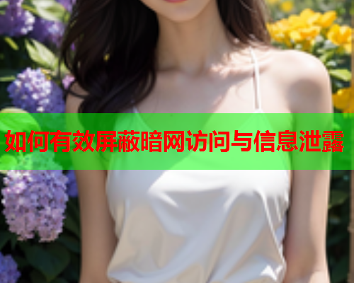 如何有效屏蔽暗网访问与信息泄露