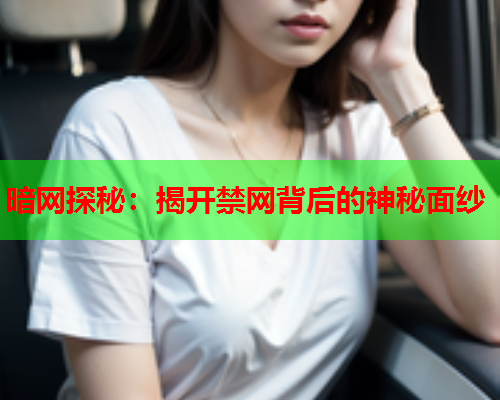 暗网探秘：揭开禁网背后的神秘面纱