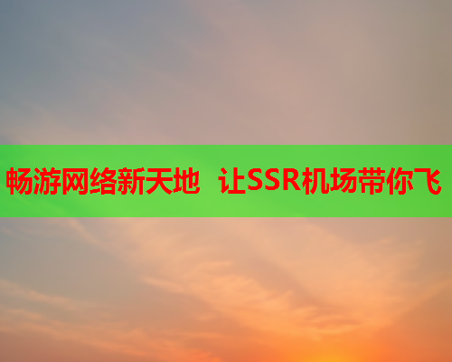 畅游网络新天地 让SSR机场带你飞