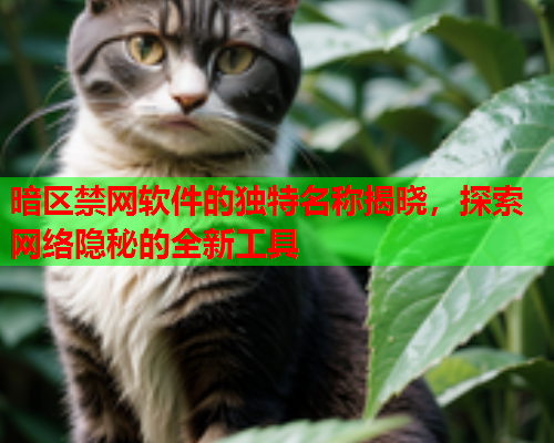 暗区禁网软件的独特名称揭晓，探索网络隐秘的全新工具