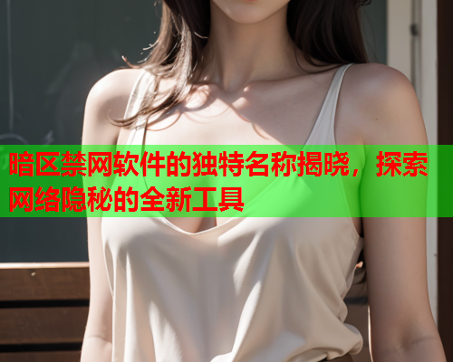 暗区禁网软件的独特名称揭晓，探索网络隐秘的全新工具