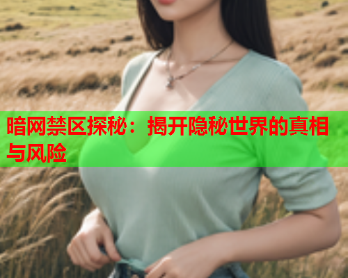 暗网禁区探秘：揭开隐秘世界的真相与风险