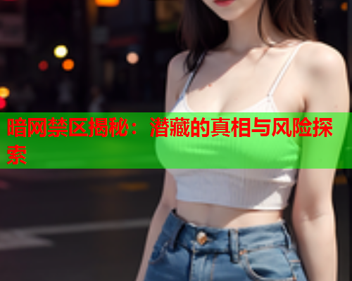 暗网禁区揭秘：潜藏的真相与风险探索