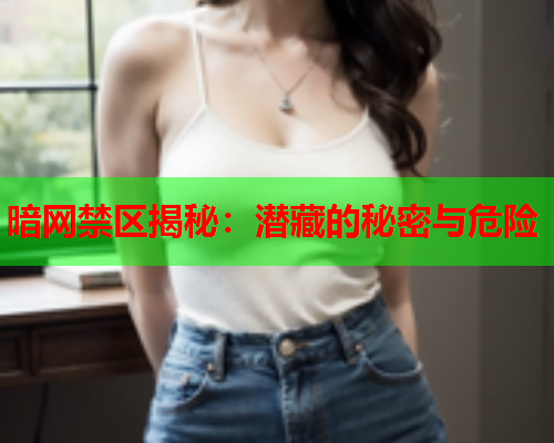 暗网禁区揭秘：潜藏的秘密与危险