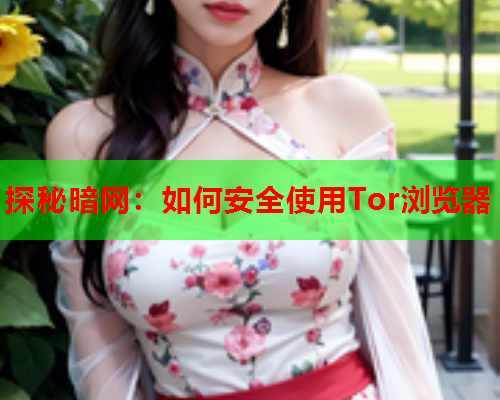 探秘暗网：如何安全使用Tor浏览器