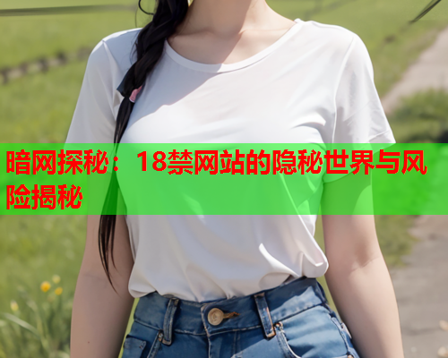 暗网探秘：18禁网站的隐秘世界与风险揭秘