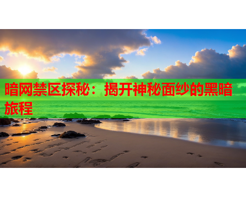 暗网禁区探秘：揭开神秘面纱的黑暗旅程