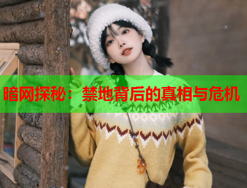 暗网探秘：禁地背后的真相与危机