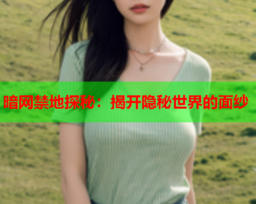 暗网禁地探秘：揭开隐秘世界的面纱