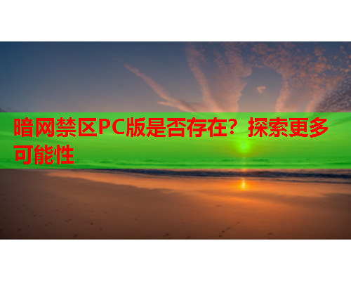 暗网禁区PC版是否存在？探索更多可能性