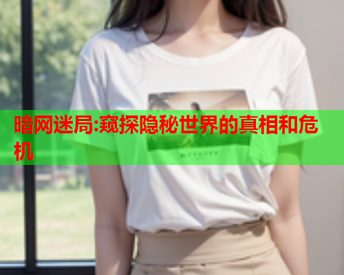 暗网迷局:窥探隐秘世界的真相和危机