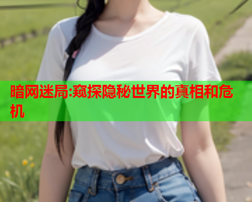 暗网迷局:窥探隐秘世界的真相和危机