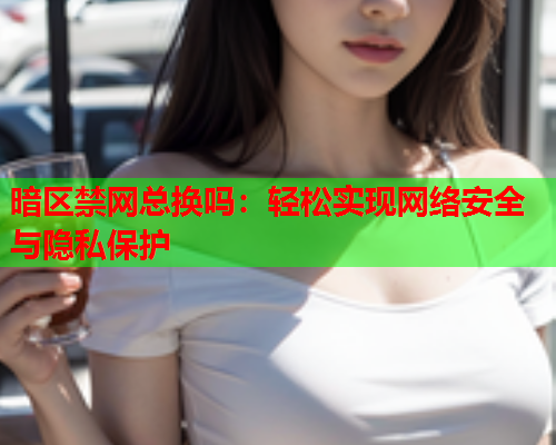 暗区禁网总换吗：轻松实现网络安全与隐私保护