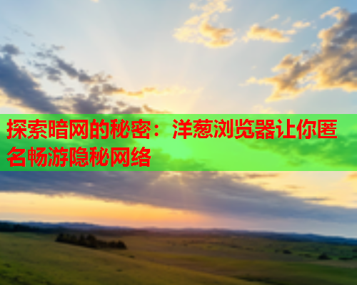 探索暗网的秘密：洋葱浏览器让你匿名畅游隐秘网络