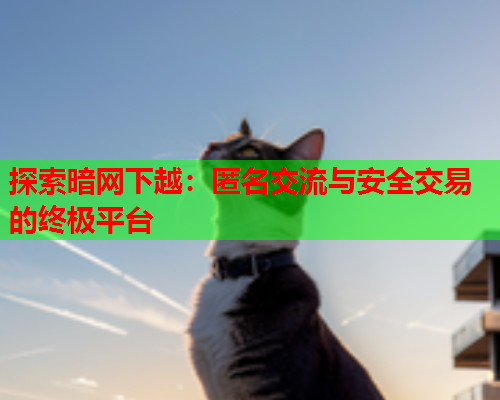 探索暗网下越：匿名交流与安全交易的终极平台