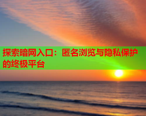 探索暗网入口：匿名浏览与隐私保护的终极平台