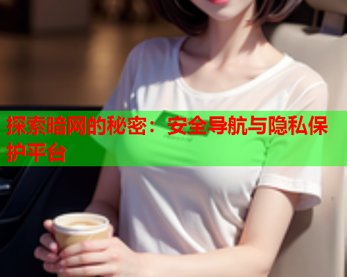 探索暗网的秘密：安全导航与隐私保护平台