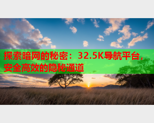 探索暗网的秘密：32.5K导航平台，安全高效的隐秘通道