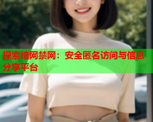 探索暗网禁网：安全匿名访问与信息分享平台